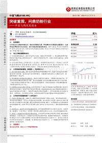 中国飞鹤深度报告：突破重围，问鼎奶粉行业.pdf