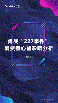 肖战“227事件”消费者心智影响分析.pdf