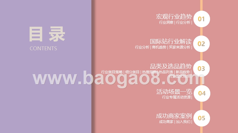 2020-2021消费电子配件行业跨境电商研究报告.pptx_第2页