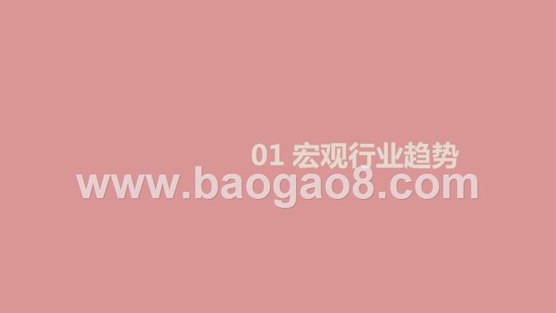 2020-2021消费电子配件行业跨境电商研究报告.pptx_第3页