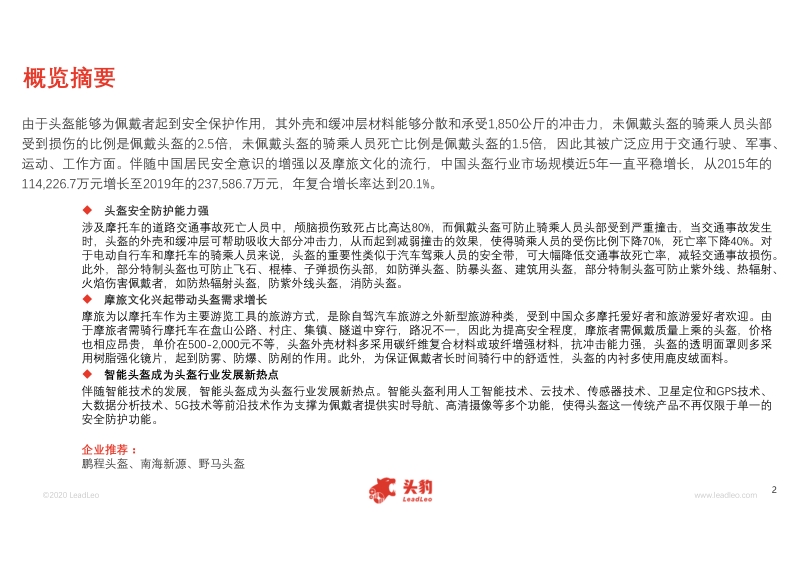 2020年中国头盔行业概览.pdf_第2页
