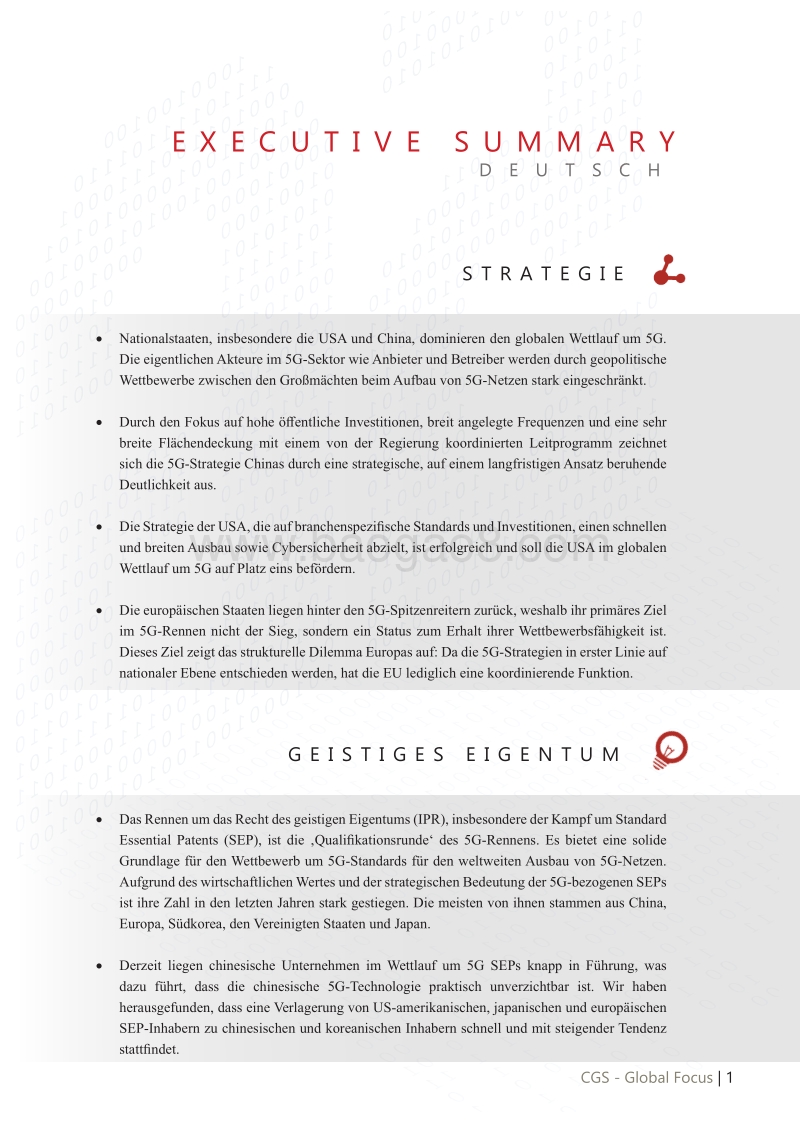 5G的地缘政治和全球竞赛（英文版）.pdf_第5页