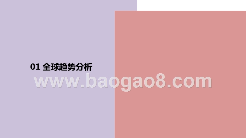 2020女装行业跨境电商发展研究报告.pptx_第2页