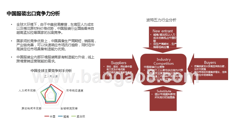 2020女装行业跨境电商发展研究报告.pptx_第4页