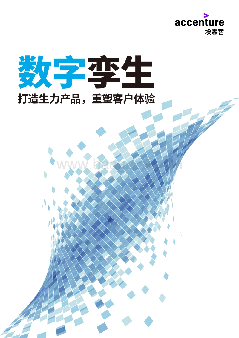 数字孪生：打造生力产品，重塑客户体验.pdf_第1页