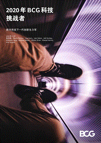 2020年BCG科技挑战者：新兴市场下一代创新生力军.pdf