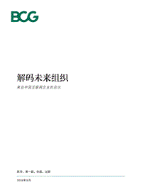 解码未来组织：来自中国互联网企业的启示.pdf
