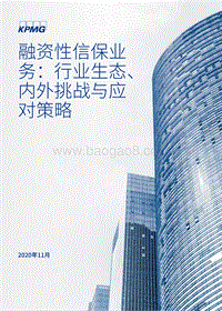 融资性信保业务：行业生态、内外挑战与应对策略.pdf