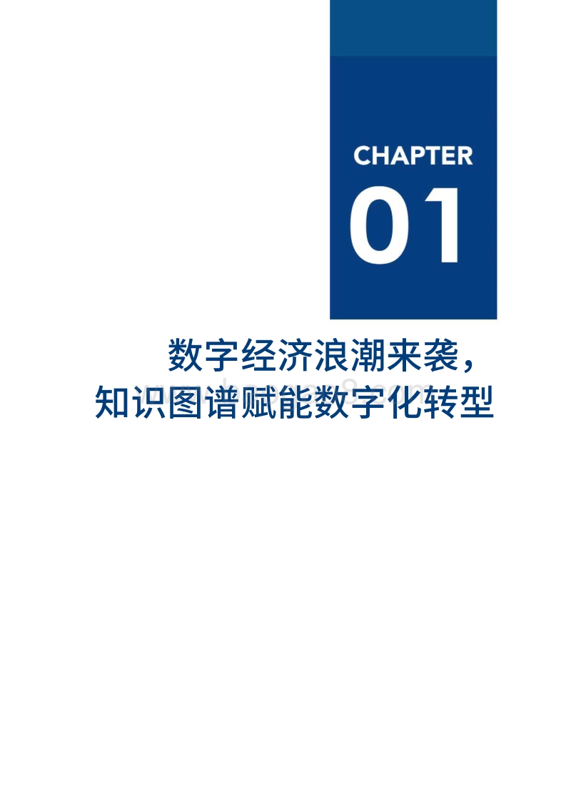 2020知识图谱厂商全景报告.pdf_第5页