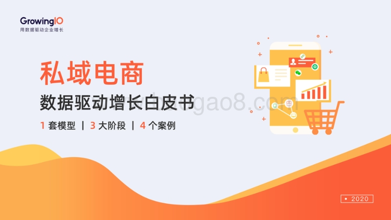 私域电商：数据驱动增长白皮书.pdf_第1页