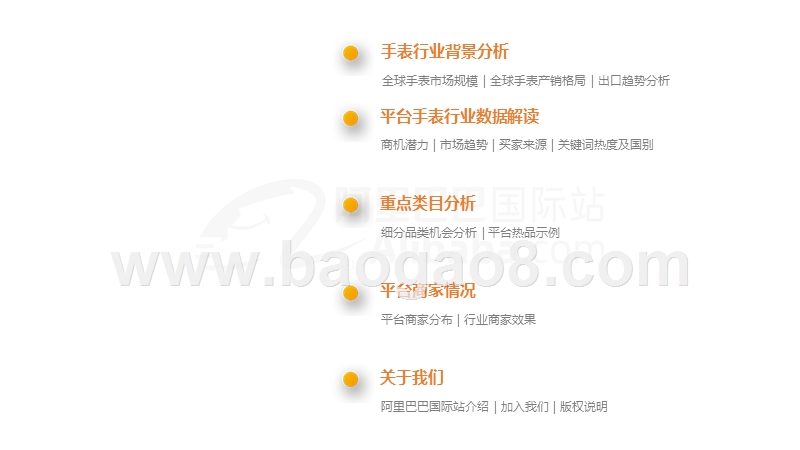 阿里巴巴国际站手表行业跨境电商发展报告.pptx_第2页
