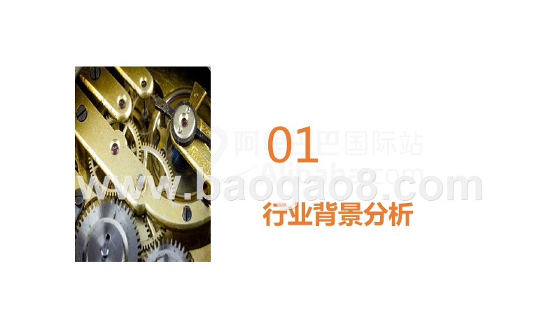 阿里巴巴国际站手表行业跨境电商发展报告.pptx_第3页