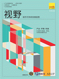 视野：城市可持续发展蓝图.pdf