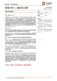 展望2021：城投怎么看？.pdf