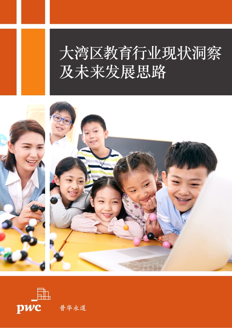 大湾区教育行业现状洞察及未来发展思路.pdf_第1页