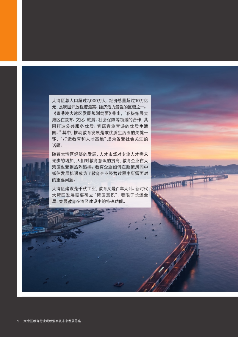 大湾区教育行业现状洞察及未来发展思路.pdf_第2页