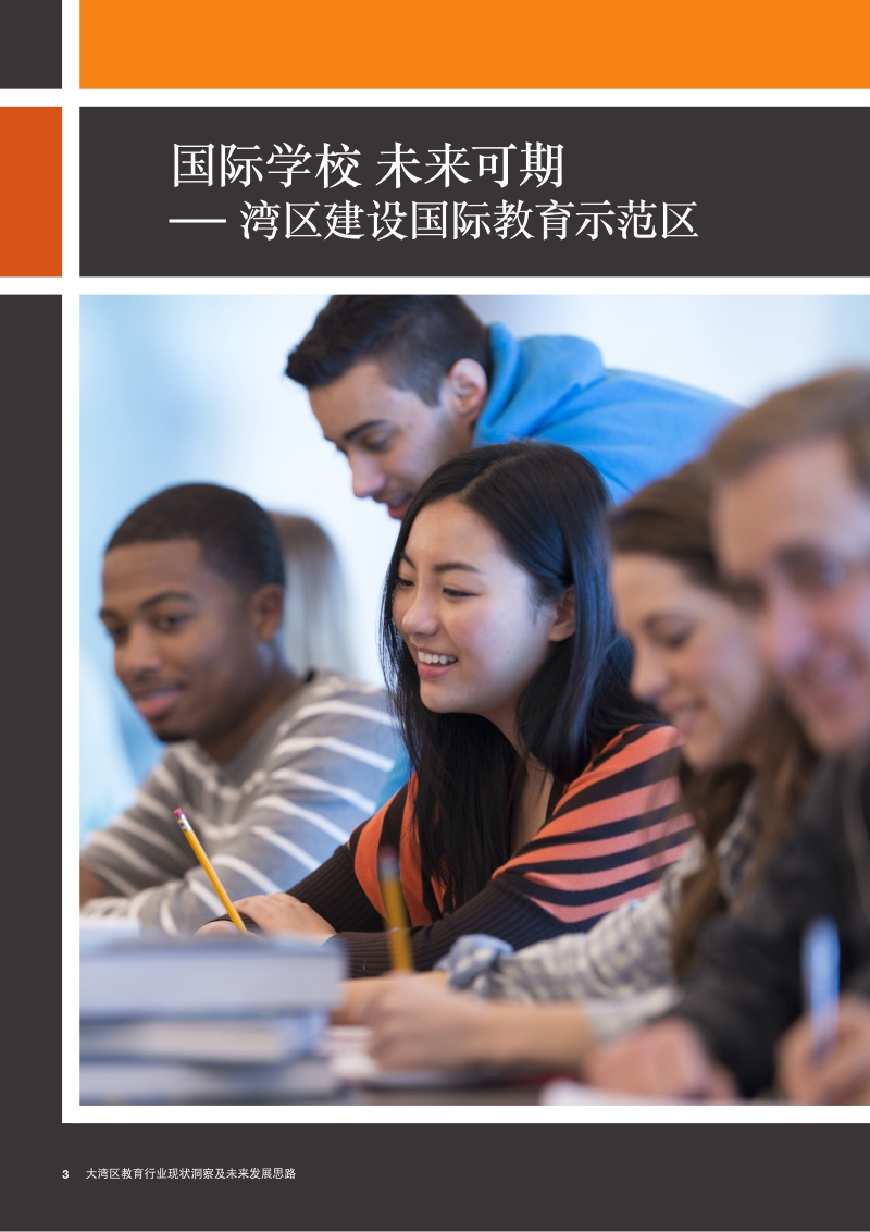 大湾区教育行业现状洞察及未来发展思路.pdf_第4页