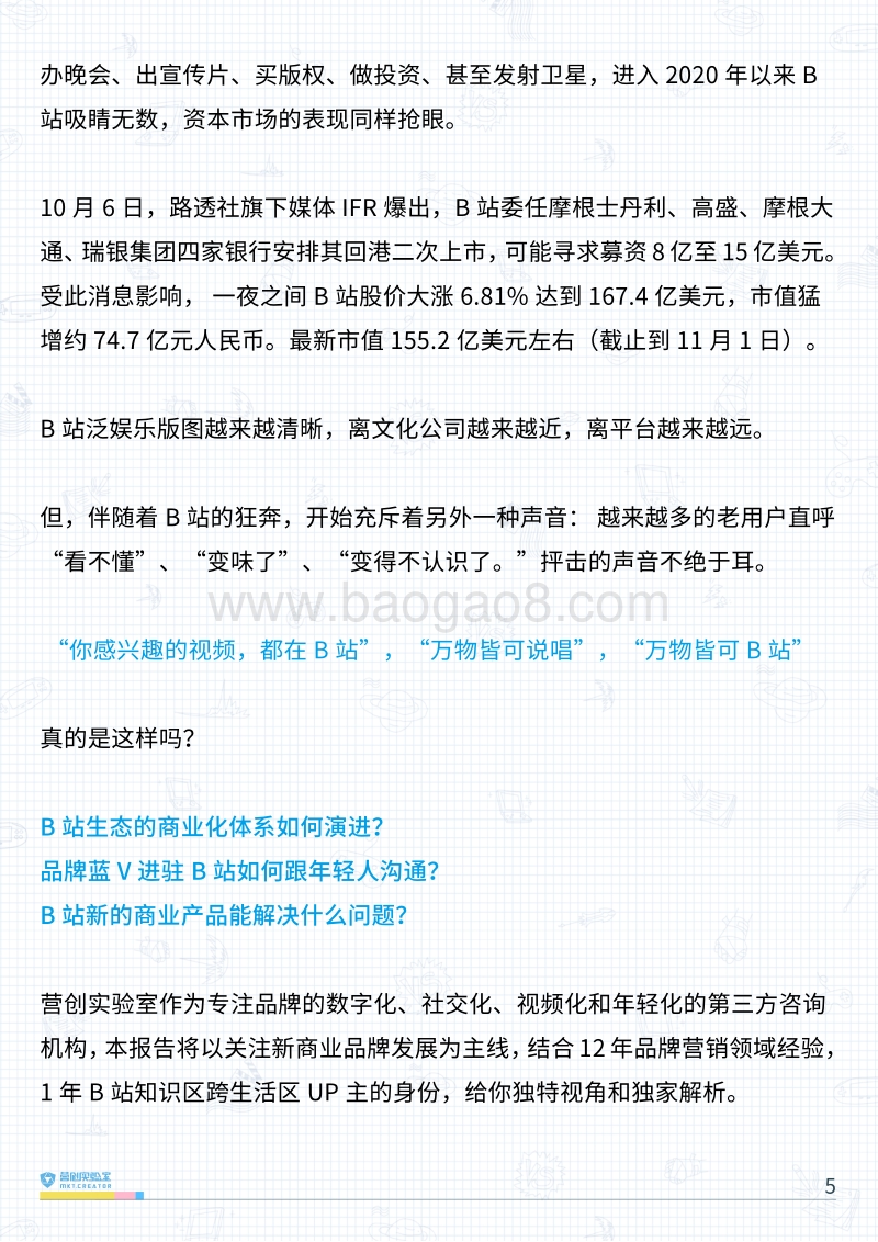 B站品牌营销指南Vol.3：蓝V的集体迷失和救赎.pdf_第5页