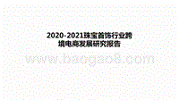 2020-2021珠宝首饰行业跨境电商发展研究报告.pptx