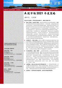 A股市场2021年度策略：循环牛，大周期.pdf