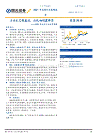 2021年通信行业投资策略：方兴未艾新基建，云化物联露锋芒.pdf