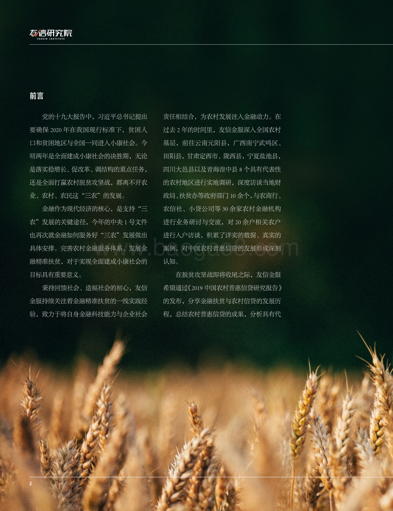 2019中国农村普惠信贷研究报告.pdf_第4页