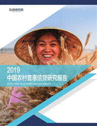 2019中国农村普惠信贷研究报告.pdf