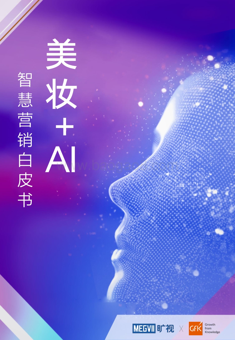 美妆+AI智慧营销白皮书.pdf_第1页
