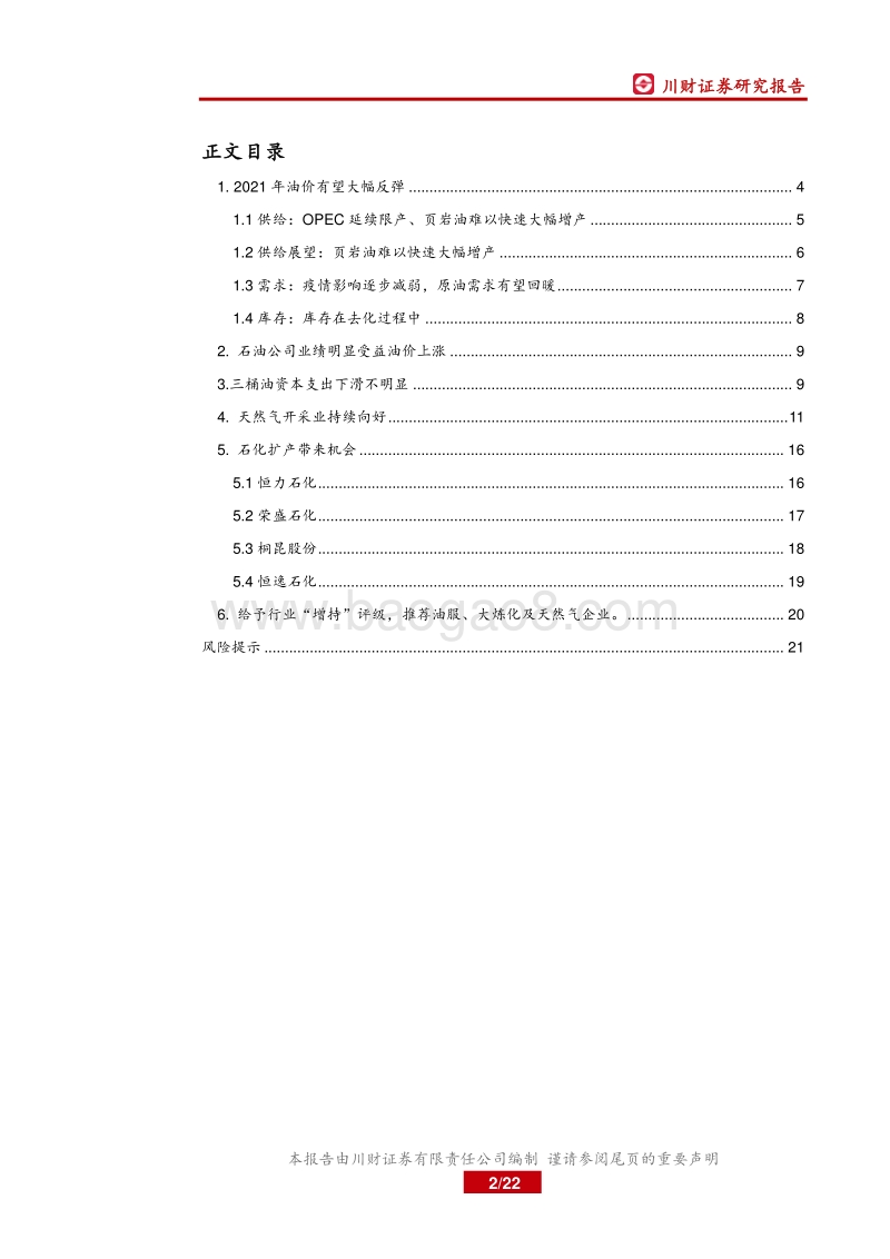 2021年石化年度策略报告：关注油气价格反弹带来的机会.pdf_第2页