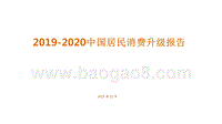 2019-2020中国居民消费升级报告.pptx