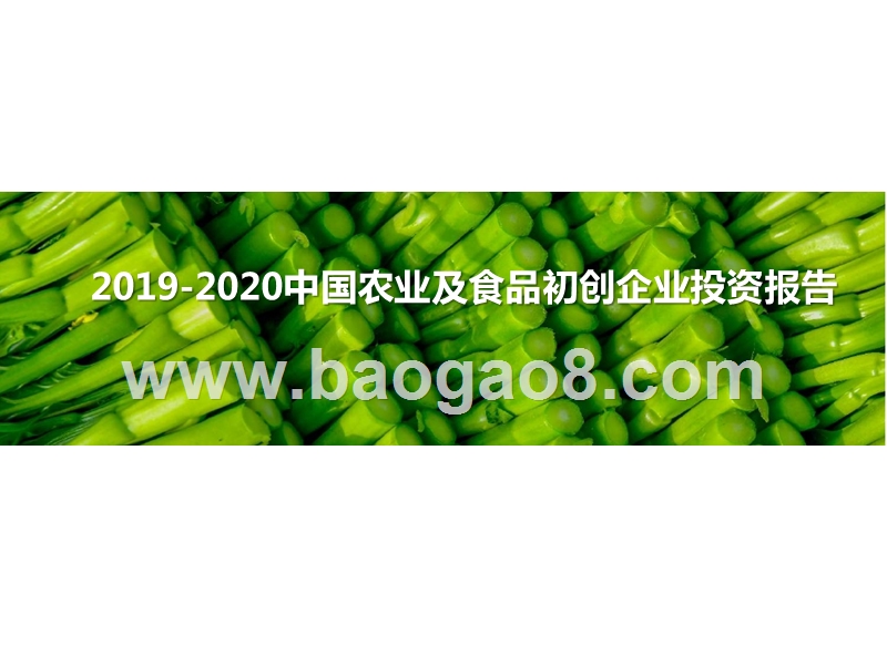 2019-2020中国农业及食品初创企业投资报告.pptx_第1页