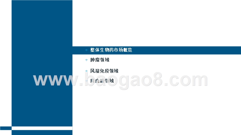 2019-2020中国单抗市场全景研究报告.pptx_第2页