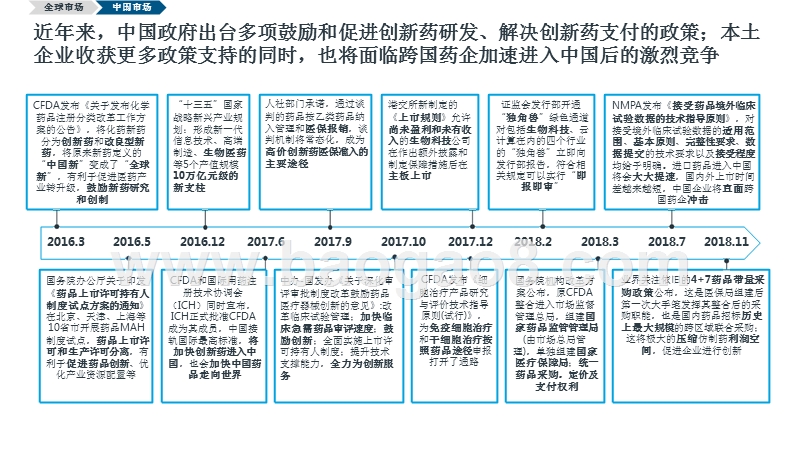 2019-2020中国单抗市场全景研究报告.pptx_第5页