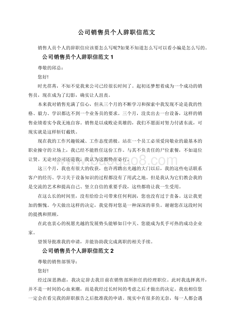 公司销售员个人辞职信范文.doc_第1页