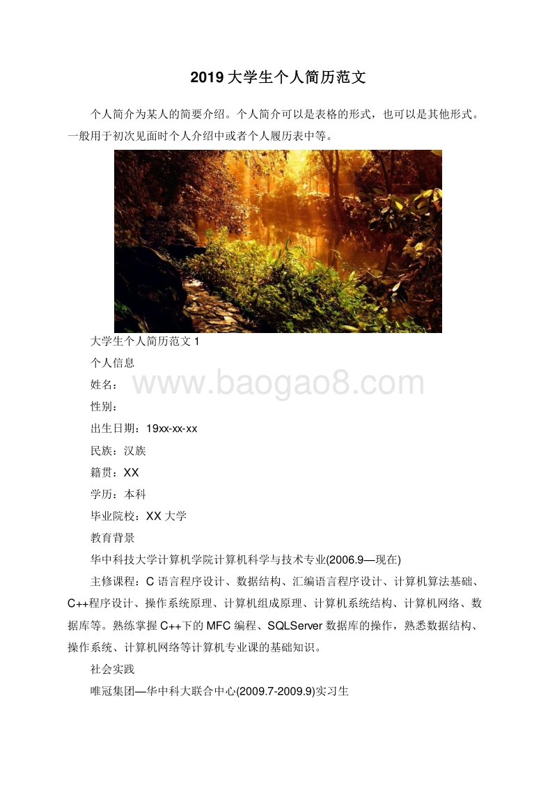 2019大学生个人简历范文.doc_第1页