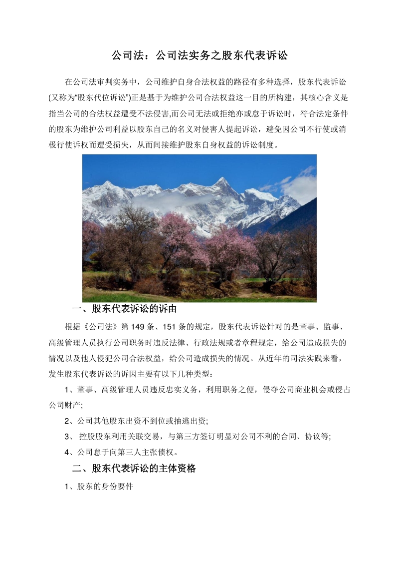 公司法：公司法实务之股东代表诉讼.doc_第1页