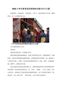 2020小学生新型冠状病毒肺炎满分作文5篇.doc
