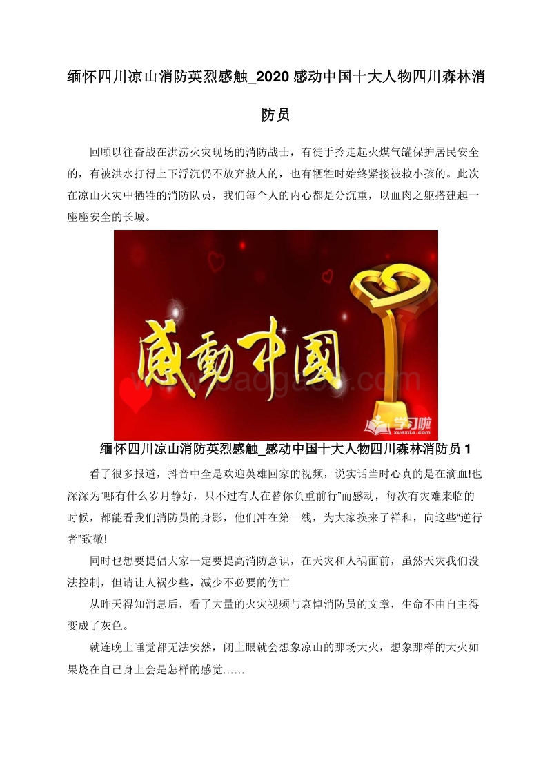 缅怀四川凉山消防英烈感触_2020感动中国十大人物四川森林消防员.doc_第1页