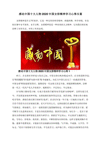 感动中国十大人物2020中国女排精神学习心得5篇.doc
