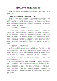2019上半年乡镇党建工作总结范文.doc