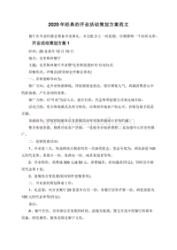2020年经典的开业活动策划方案范文.doc