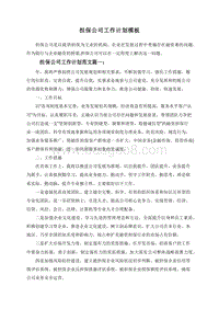 担保公司工作计划模板.doc