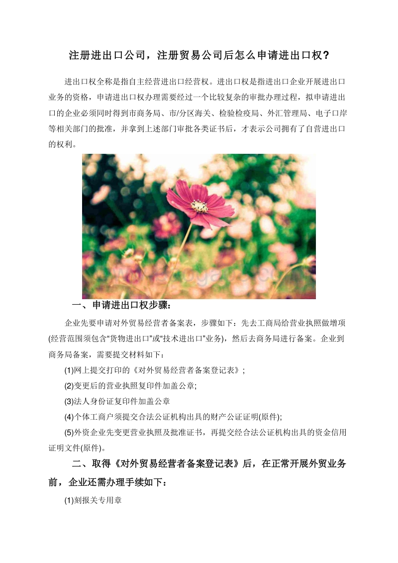注册进出口公司，注册贸易公司后怎么申请进出口权.doc_第1页