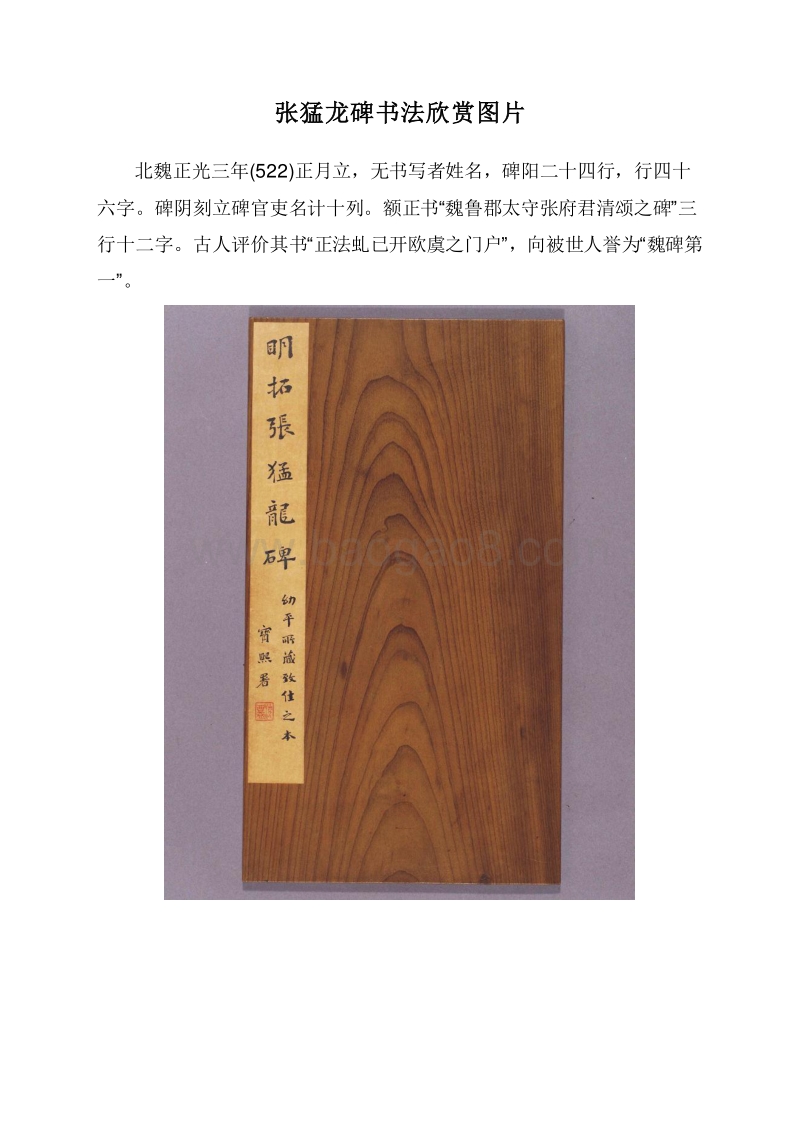 张猛龙碑书法欣赏图片.doc_第1页