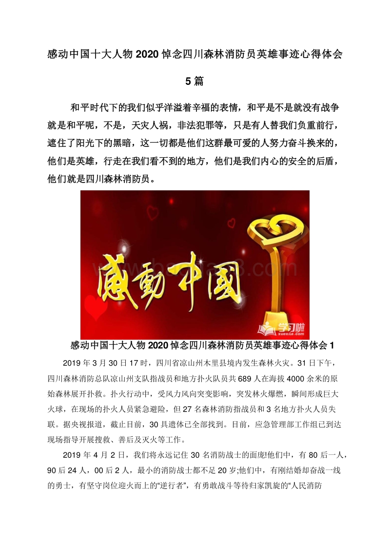 感动中国十大人物2020悼念四川森林消防员英雄事迹心得体会5篇.doc_第1页