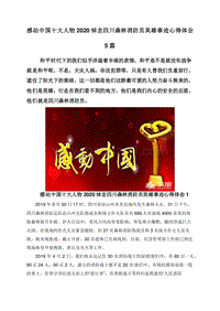 感动中国十大人物2020悼念四川森林消防员英雄事迹心得体会5篇.doc