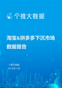淘宝&拼多多下沉市场数据报告.pdf