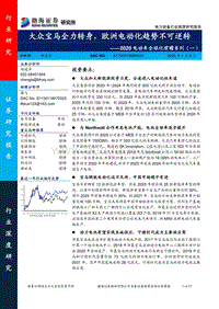 2020电动车全球化前瞻系列（一）：大众宝马全力转身，欧洲电动化趋势不可逆转.pdf