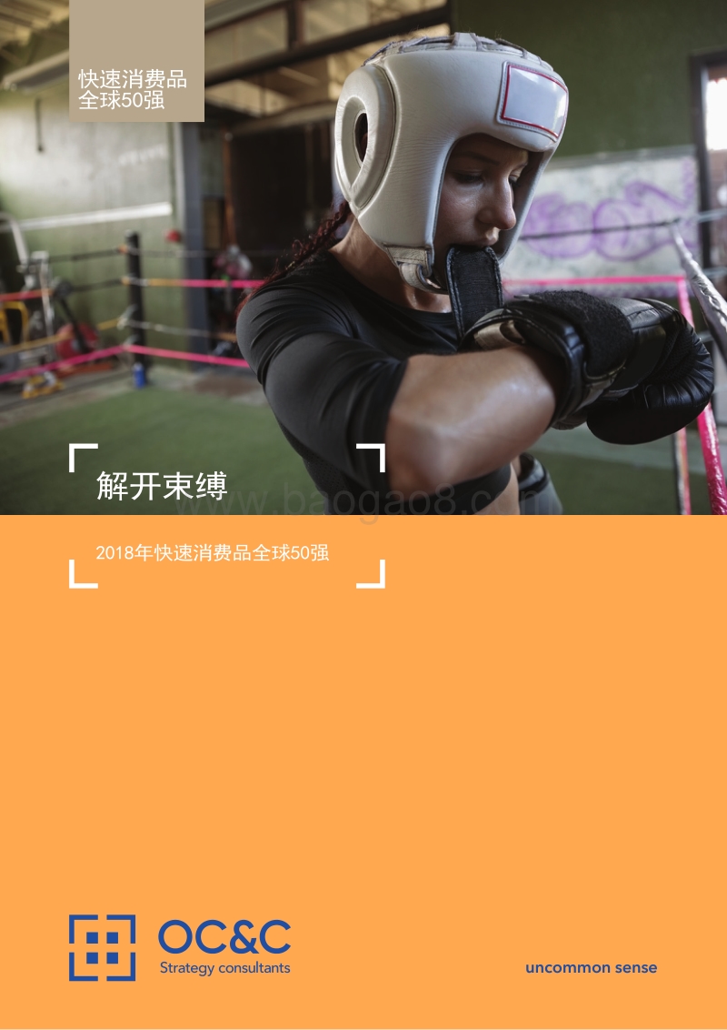 2018年快速消费品全球50强.pdf_第1页