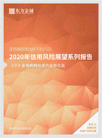 2020年信用风险展望系列报告：金融机构与资产证券化篇.pdf